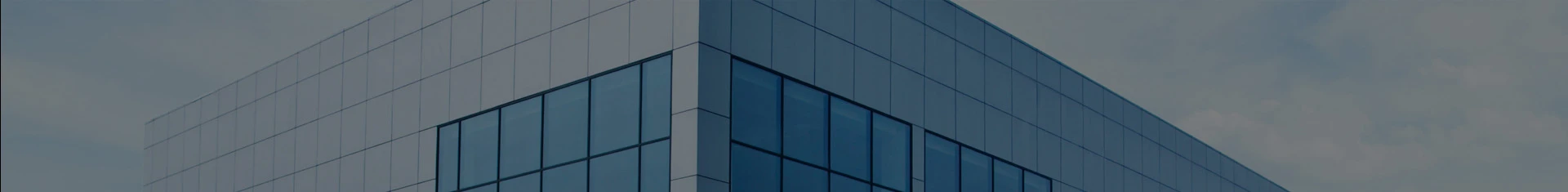 Company Profile